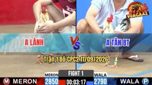 Trận 1 CPC2 11/09/2026 – Gà Anh Lành Mở Bát Quá Thuận Lợi