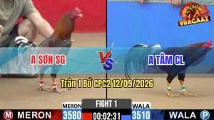 Trận 1 CPC2 12/09/2026 – Anh Sơn Chưa Thả Gà Đã Dí Anh Tâm Ăn 6