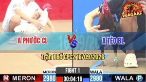 Trận 1 CPC2 16/09/2026 – Gà Bướm Anh Phước Dính Tang Vẫn Gồng Gánh
