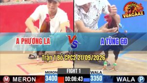 Trận 1 CPC2 21/09/2026 – Gà Điều Anh Tùng GĐ Đá Như Sấm