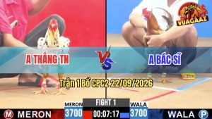 Trận 1 CPC2 22/09/2026 – Anh Bác Sĩ Gặp Anh Thắng Ở Trận Mở Màn