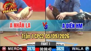 Trận 1 CPC2 Ngày 5/9/2026