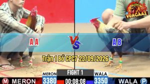 Trận 1 CPC7 23/09/2026 – Gà Que Đá Cái Bo Quá Khủng Khiếp