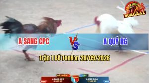 Trận 1 Tonhon 20/09/2026 – Anh Quý Chấp Anh Sang 4 Chấm Vẫn Về Bờ