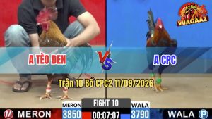 Trận 10 CPC2 11/09/2026 – Anh Tèo Đen Đá Trong Vòng 3 Nốt Nhạc