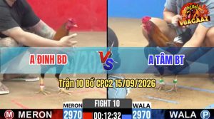 Trận 10 CPC2 15/09/2026 – Anh Tâm BT Hạ Anh Đinh Trong 1 Tay Nước