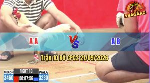 Trận 10 CPC2 21/09/2026 – Gà Đỏ Chụp Siết Mấy Chân Đã Lụm Tiền