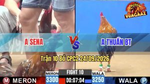 Trận 10 CPC2 24/09/2026 – Anh Thuần BT Đá Đúng 1 Đòn Cựa Chí Mạng