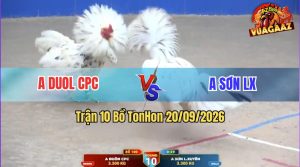 Trận 10 Tonhon 20/09/2026 – Anh Duol CPC Làm Thịt Anh Sơn LX