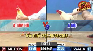Trận 11 CPC2 20/09/2026 – Anh Mo Làm Thịt Anh Tám Hà Nhanh Gọn