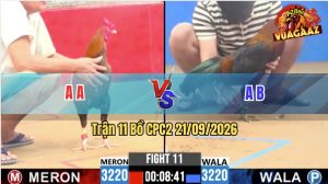 Trận 11 CPC2 21/09/2026 – Gà Xanh Dí Bạc Ăn 6 Và Cái Kết