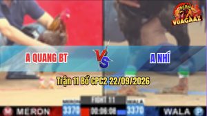Trận 11 CPC2 22/09/2026 – Gà Anh Nhí Quá Lì Đòn, Đỏ Lật Xe