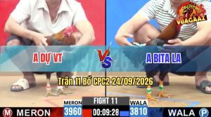 Trận 11 CPC2 24/09/2026 – Anh Bita Long An Gặp Anh Dự Vũng Tàu