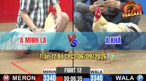 Trận 12 CPC2 06/09/2026 – Gà Úa Má Minh Bươi Chà Như Cái Máy
