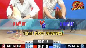 Trận 12 CPC2 08/09/2026 – Gà Bướm Anh Mỹ Bươi Chà Như Cái Máy