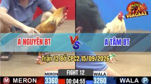 Trận 12 CPC2 15/09/2026 – Anh Tâm Hạ Anh Nguyên Trong Vòng 3 Nốt Nhạc
