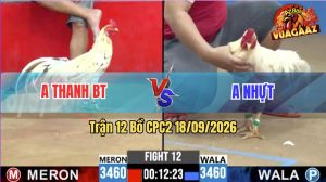 Trận 12 CPC2 18/09/2026 – Anh Thanh Tung Hàng Hiệu Vào Đá Như Sấm