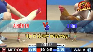 Trận 12 CPC2 19/09/2026 – Gà Khét Anh Hiền Đá Khôn Như Người Ta