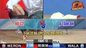 Trận 12 CPC2 20/09/2026 – Gà Anh Tâm Đá Toàn Đâm Cựa Nghiệt