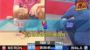 Trận 12 CPC2 21/09/2026 – Gà Chuối Đá Đòn Như Lấy Cây Đập