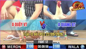 Trận 12 CPC2 22/09/2026 – Gà Anh Quang BT Tránh Né Quá Khéo Léo