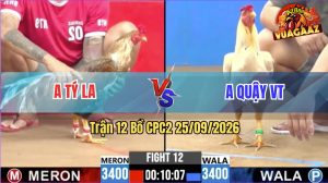 Trận 12 CPC2 25/09/2026 – Anh Tý LA Hạ Anh Quậy Trong 1 Tay Nước