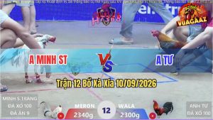 Trận 12 Xà Xía 10/09/2026 – Anh Minh Tung Bướm Hiệu Vào Đá Quá Lì Đòn