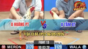 Trận 13 CPC2 06/09/2026 – Anh Hoàng Hạ Anh Tâm Đúng 3 Chân Cựa