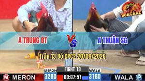 Trận 13 CPC2 20/09/2026 – Gà Anh Thuận Cứ Nhấc Chân Là Dính Cựa