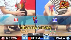 Trận 13 CPC2 21/09/2026 – Gà Bướm Đá Tốc Độ Trong Vòng 1 Tay Nước