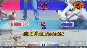 Trận 13 Xà Xía 10/09/2026 – Anh Hải Chấp Ngông Bị Anh Duol Làm Thịt
