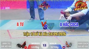 Trận 13 Xà Xía 24/09/2026 – Anh Tư Làm Thịt Anh Hắc Coca Nhanh Gọn