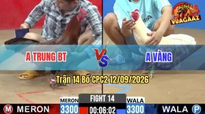 Trận 14 CPC2 12/09/2026 – Anh Trung BT Bị Anh Vàng Dí Bạc Và Cái Kết