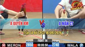 Trận 14 CPC2 18/09/2026 – Anh Quyền Đánh Bại Anh Mận Cần Thơ