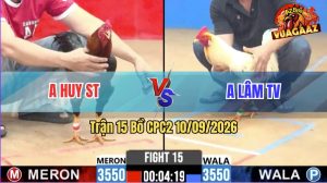 Trận 15 CPC2 10/09/2026 – Gà Bướm Anh Lâm Đá Canh Chặn Quá Khéo