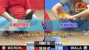 Trận 15 CPC2 15/09/2026 – Gà Anh Nhân Đá Siết Quá Tốc Độ