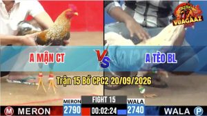 Trận 15 CPC2 20/09/2026 – Gà Anh Mận CT Canh Chặn Quá Khôn Khéo
