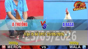 Trận 15 CPC7 23/09/2026 – Anh Basa Dí Bạc Anh Thưởng Và Cái Kết