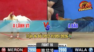 Trận 16 CPC2 11/09/2026 – Anh Bảo Có Pha Lội Ngược Dòng Ngoạn Mục