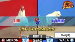 Trận 16 CPC2 15/09/2026 – Anh Tâm Chồng Độ Gặp Đối Thủ Cứng Cựa