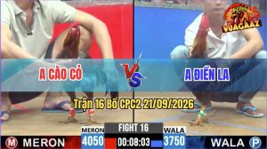 Trận 16 CPC2 21/09/2026 – Anh Điền Làm Thịt Anh Cào Cỏ Dễ Dàng