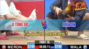 Trận 16 CPC2 24/09/2026 – Gà Anh Tùng GĐ Đá Toàn Đâm Cựa Nghiệt