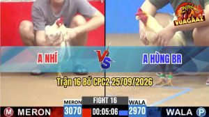 Trận 16 CPC2 25/09/2026 – Gà Bướm Anh Nhí Gồng Gánh Ăn Phút 90