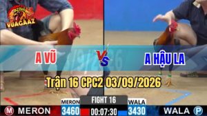 Trận 16 CPC2 Ngày 3/9/2026