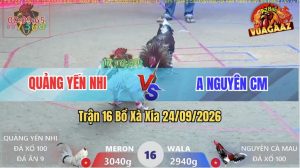 Trận 16 Xà Xía 24/09/2026 – Gà Bướm Của Idol Quảng Yến Nhi Quá Đâm