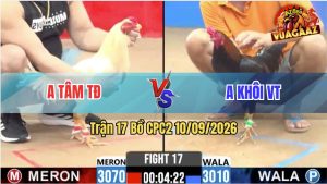 Trận 17 CPC2 10/09/2026 – Anh Tân May Độ Khi Thắng Trong Thế Thua