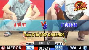 Trận 17 CPC2 17/09/2026 – Gà Úa Anh Vũ Đá Đòn Nhanh Như Chớp