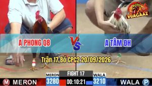 Trận 17 CPC2 20/09/2026 – Anh Phong Hạ Anh Tâm Nhanh Gọn
