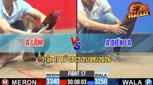 Trận 17 CPC2 21/09/2026 – Anh Lâm Đụng Độ Với Anh Điền Long An