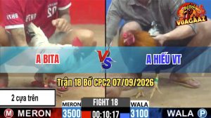 Trận 18 CPC2 07/09/2026 – Anh Bita Chấp Anh Hiếu Đá 2 Cây Cựa Trên